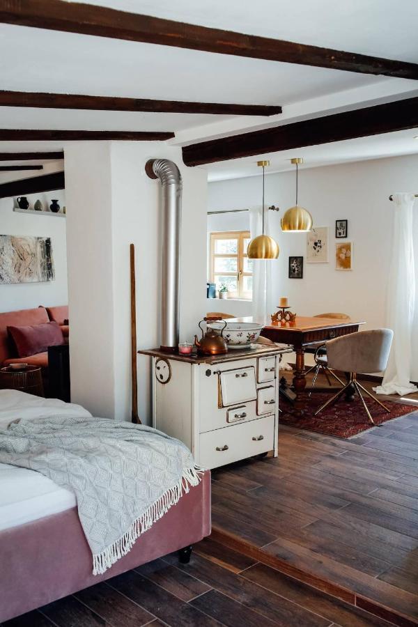 Apartment Aussee- Atelier Salzherrenhof- Kueche, Wlan, Netflix Bad Aussee Extérieur photo